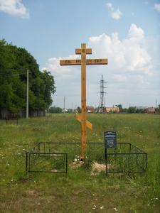     .  2006 .