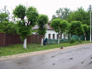  2005.